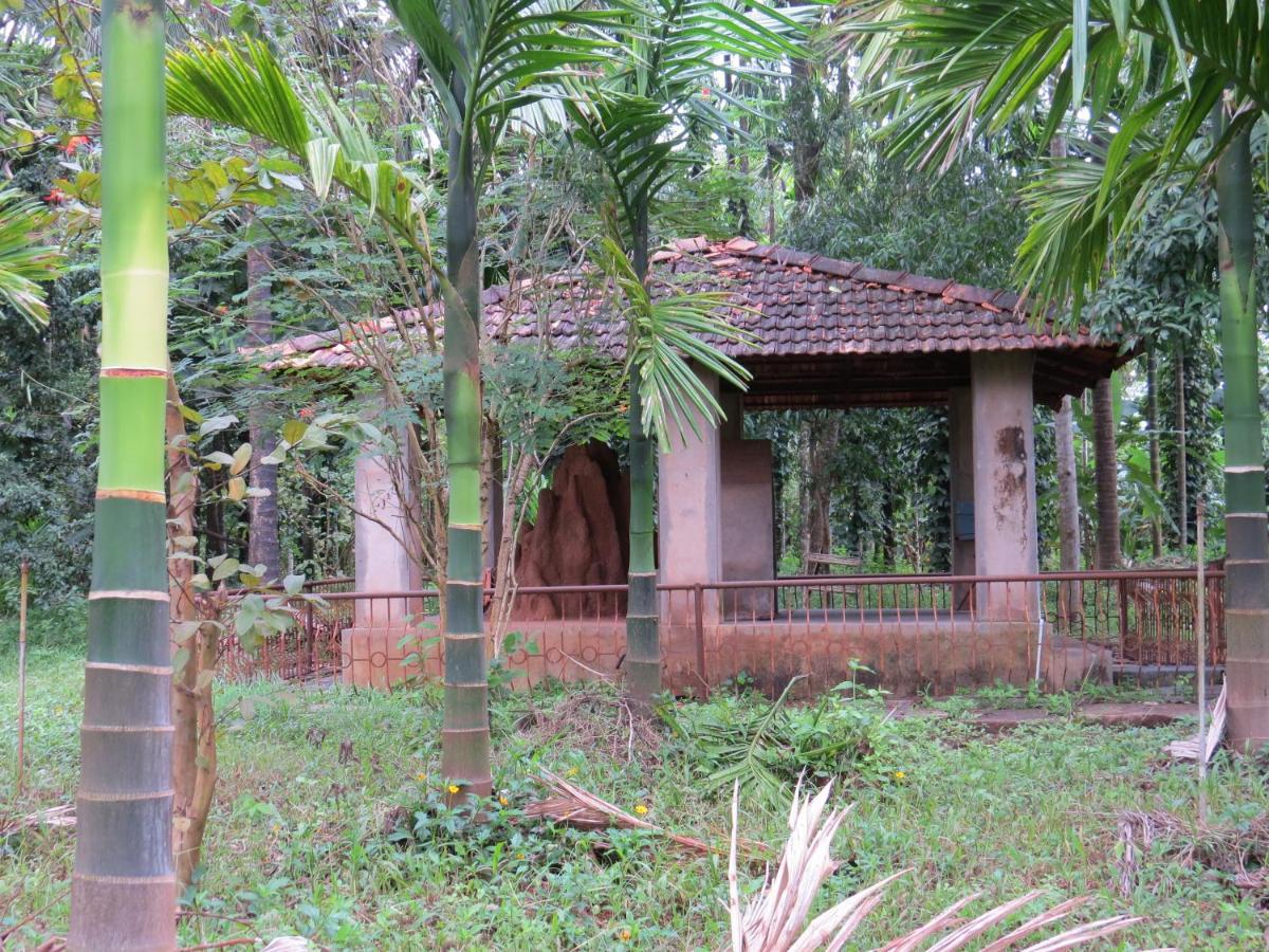 Sugamya Farm Guesthouse Sagar  Extérieur photo